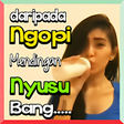 Ikon program: Meme Perang Gambar Lucu S…