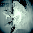 Icon of program: SCP Shark II READ DESCRIP…
