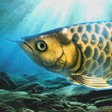 プログラムのアイコン：Arowana raising from fry