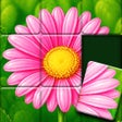 Ícone do programa: Jigsort: Solitaire