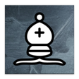 プログラムのアイコン：Perfect Chess Trainer Dem…