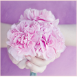 程序图标：Flowers for you