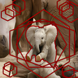 Icon of program: elephant