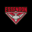 程序图标：Essendon Official App