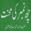 Icon of program: 6 Number Ki Mehnat