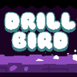 Programın simgesi: Drill Bird