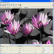 Icon of program: Tintii
