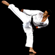 PocketPT - Shotokan Karate icon