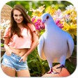 程序图标：Pigeon Photo Frames
