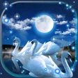Icon of program: Swans Night Live Wallpape…
