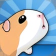 プログラムのアイコン：Guinea Pig Bridge