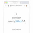 程序图标：Is it DNSimple?