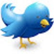 Icône du programme : Twitter Logo Changer