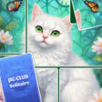 أيقونة البرنامج: Jig Club: Solitaire