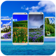 プログラムのアイコン：Nature Wallpaper