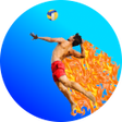 Icon of program: Volleyball 2023