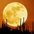 Ikona programu: Star Planet Finder