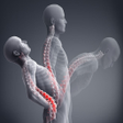 Ikona programu: low back pain relief exer…