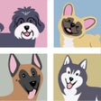 Icon of program: Puppy Nation photos of c…