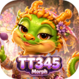 Programın simgesi: TT345Morph