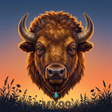 Programikonen: Bison Prairie Match