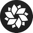 Icona del programma: IMG.LY Photo Editor & Cam…