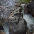 プログラムのアイコン：river side creek lwp