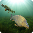 Иконка программы: 3DCARP