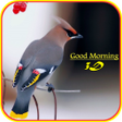 程序图标：Good Morning 3D Images