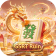 프로그램 아이콘: 55RTRuin