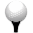Icon of program: Mini Golf Pro