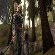 Icon of program: Dalish Armour - Gender an…