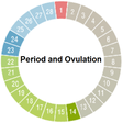 程序图标：Period and Ovulation