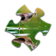 Biểu tượng của chương trình: Reflection Jigsaw Puzzles