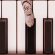 程序图标：Cat Piano Memory Game