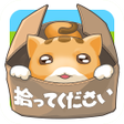 程序图标：捨て猫レスキュー