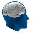 Symbol des Programms: BrainCheck