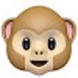 Ikon program: Password Monkey