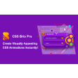 CSS Brio Pro