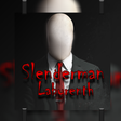 Icon of program: Slenderman : The Maze Fea…