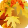 Autumn Video Wallpaper