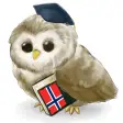 MTL Learn Norwegian