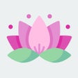 Pictogram van programma: Reflection Cards
