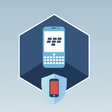 Иконка программы: Elcomsoft Blackberry Back…