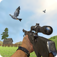 程序图标：Pigeon Hunting Pigeon Pop…