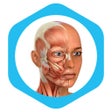 プログラムのアイコン：Medical Terminology Learn…