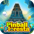 Icon of program: Pinball Floresta