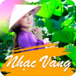 プログラムのアイコン：Nhạc Vàng - Bolero  Trữ T…