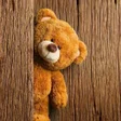 プログラムのアイコン：Teddy Bear Wallpapers