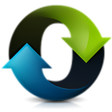 Icône du programme : DynDNS Service